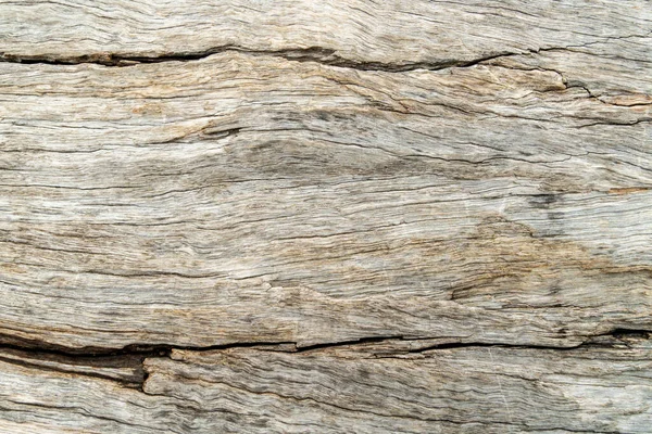 Příroda dřevo strom textura pozadí vzor. — Stock fotografie