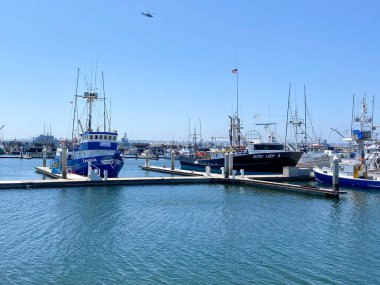 Ticari Balıkçı Tekneleri San Diego Limanı 'na yanaştı.