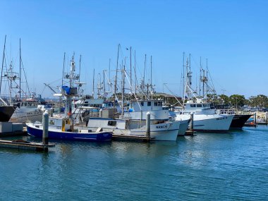 Ticari Balıkçı Tekneleri San Diego Limanı 'na yanaştı.