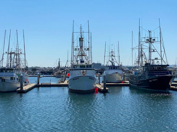 Коммерческие рыболовные суда в порту Сан-Диего . — стоковое фото