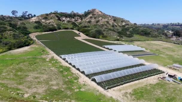 Vista aérea de tierras de cultivo verdes con agricultores trabajando y valle con villa en el fondo — Vídeo de stock