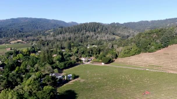 Vue aérienne du paysage viticole de la vallée de Napa — Video