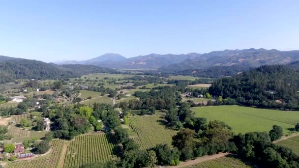 Vista aérea del paisaje del viñedo del Valle de Napa — Vídeos de Stock