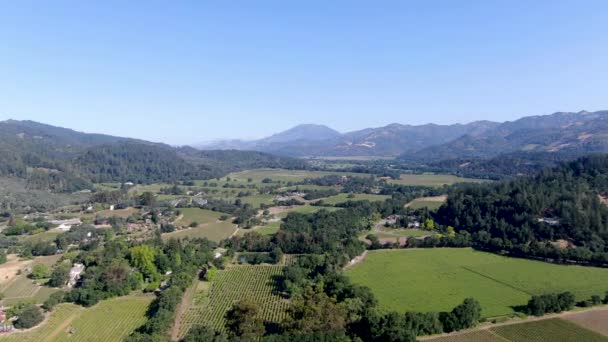 Vue aérienne du paysage viticole de la vallée de Napa — Video
