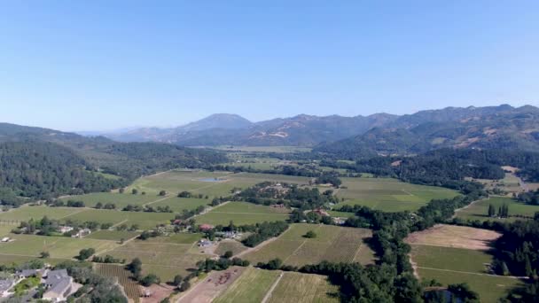 ナパバレーのブドウ畑の風景の空中ビュー — ストック動画