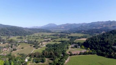 Napa Vadisi üzüm bağı manzarası 
