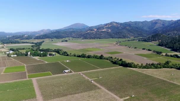 Aerial view of Napa Valley vineyard landscape — Stock Video