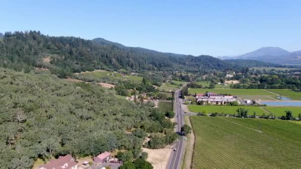 Vista aérea del paisaje del viñedo del Valle de Napa — Vídeos de Stock