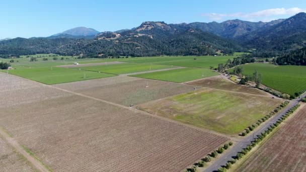 Aerial view of Napa Valley vineyard landscape — Stock Video