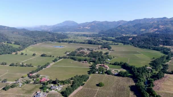 Uitzicht vanuit de lucht op het wijngaardlandschap van Napa Valley — Stockvideo