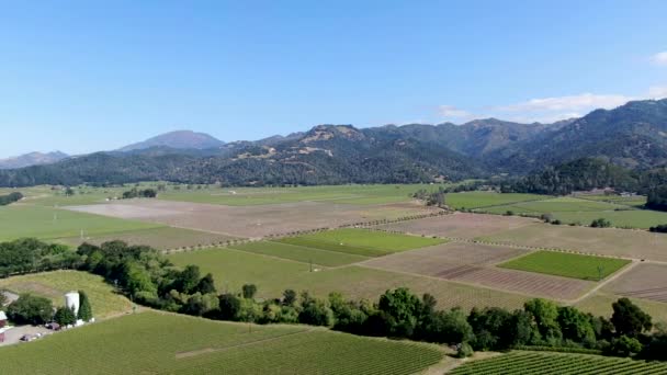 Veduta aerea del paesaggio viticolo della Napa Valley — Video Stock