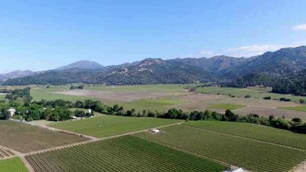 Letecký pohled na krajinu vinic Napa Valley 