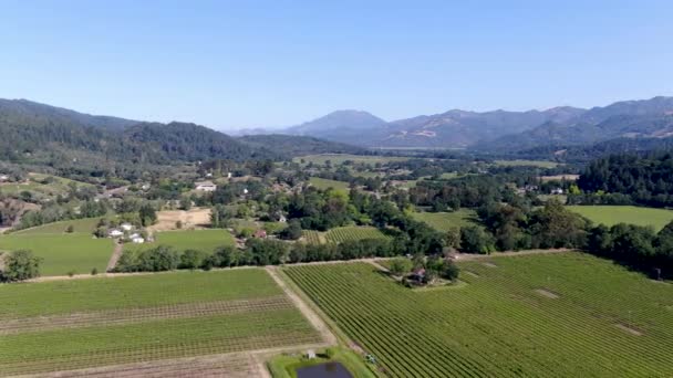 Vista aérea del paisaje del viñedo del Valle de Napa — Vídeo de stock
