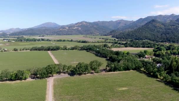 Letecký pohled na krajinu vinic Napa Valley 