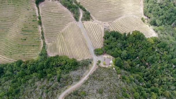 Letecký pohled na krajinu vinic Napa Valley — Stock video