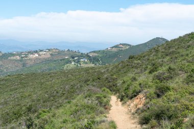 San Marcos 'taki Double Peak Park' ta küçük bir patika.