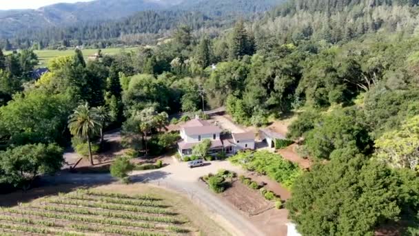 Vista aérea del paisaje del viñedo del Valle de Napa — Vídeo de stock