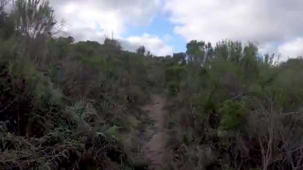 Timelapse montar en bicicleta de montaña en un pequeño sendero de una sola pista en la montaña . — Vídeo de stock