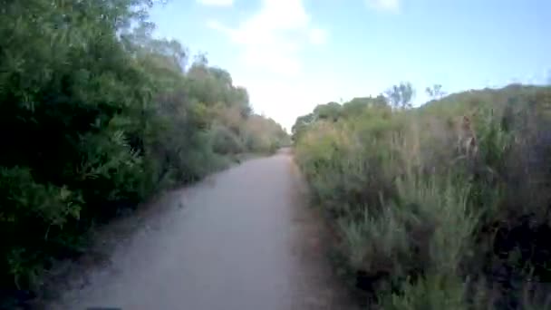 Montar en bicicleta de montaña en un pequeño sendero de una sola pista en la montaña . — Vídeos de Stock