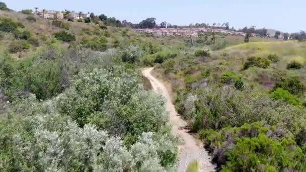 Flygfoto över en liten singletrack stig i grön dal — Stockvideo