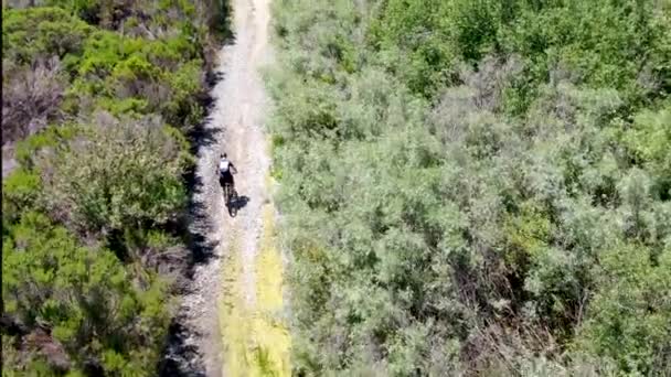 Αεροφωτογραφία της ιππασίας mountain bike σε ένα μικρό μονοπάτι ενός μονοπατιού στο βουνό. — Αρχείο Βίντεο