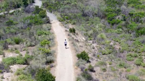 Vista aérea del hombre corriendo en un pequeño sendero único en el valle — Vídeo de stock
