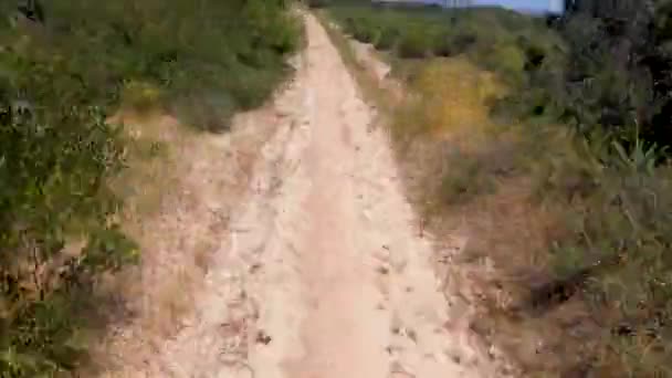 Время езды на маунтинбайке по небольшой одноколейной дорожке в горах . — стоковое видео