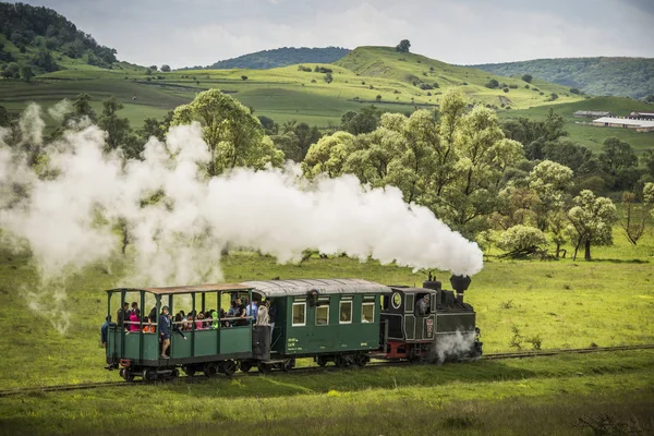 Beyaz yeşil bir trenin