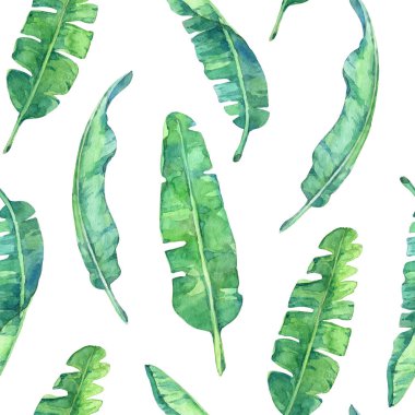 Muz yapraklarıyla kusursuz desen. Suluboya elle boyanmış..