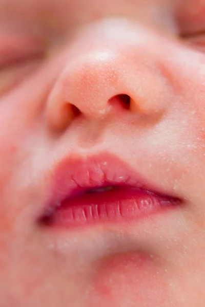 Un rostro recién nacido —  Fotos de Stock