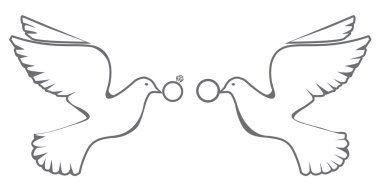 Vektör güvercin düğün