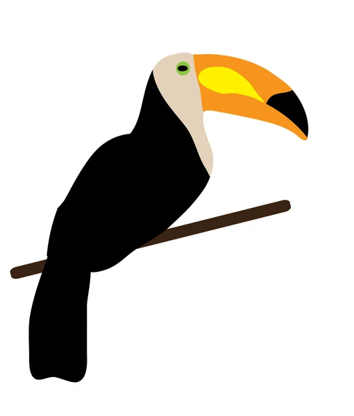 Vector Toucan fågel — Stock vektor