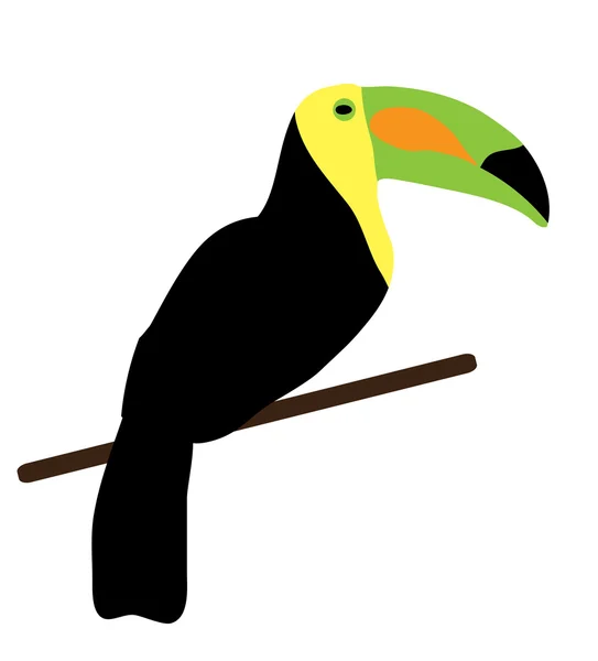 Тукан птица вектор — стоковый вектор