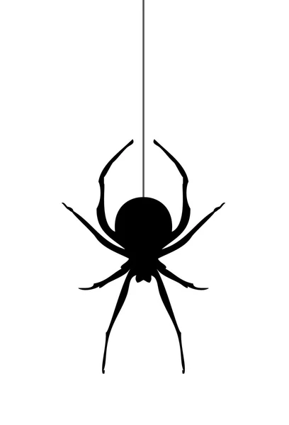 Pavouk silueta vektor — Stockový vektor