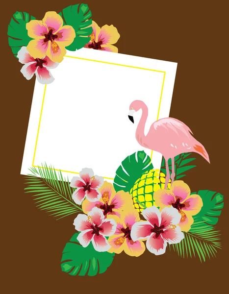 Vector flamingo achtergrond — Stockvector