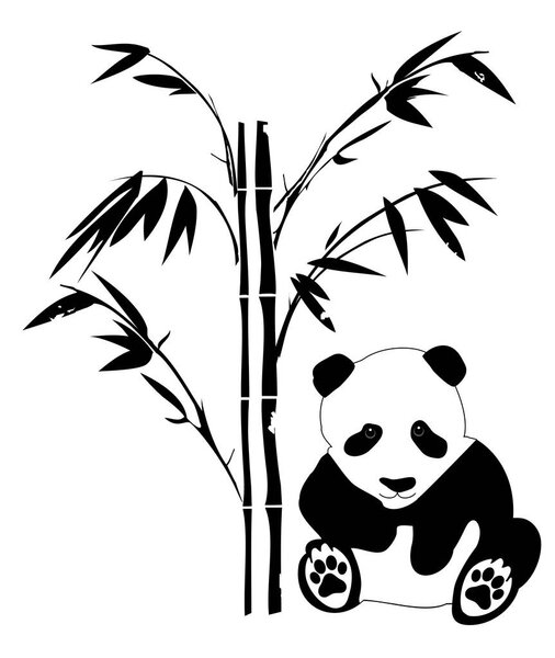 vector panda bear
