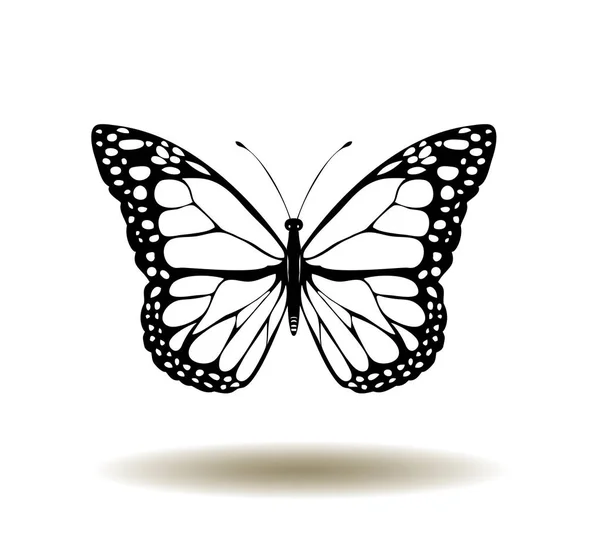 Download Butterfly silhouette — Stock Photo © Naturaldigital #2521265