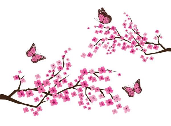 Vector flor de cerezo — Archivo Imágenes Vectoriales