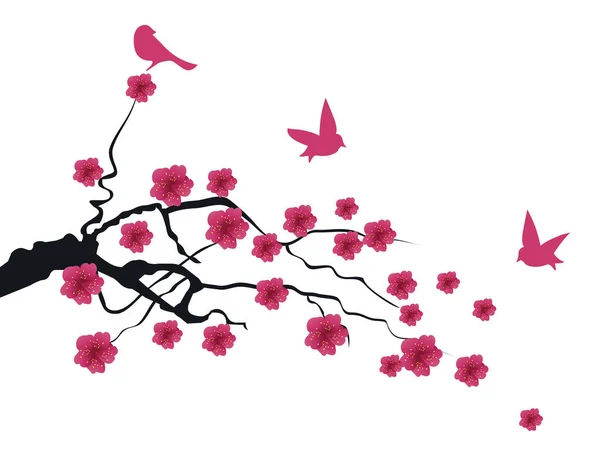 Vector cherry blossom — Stock Vector