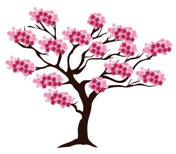 Vector cherry tree — Stock Vector