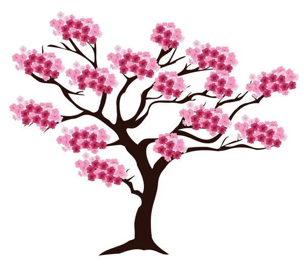 Vector cherry tree — Stockvector