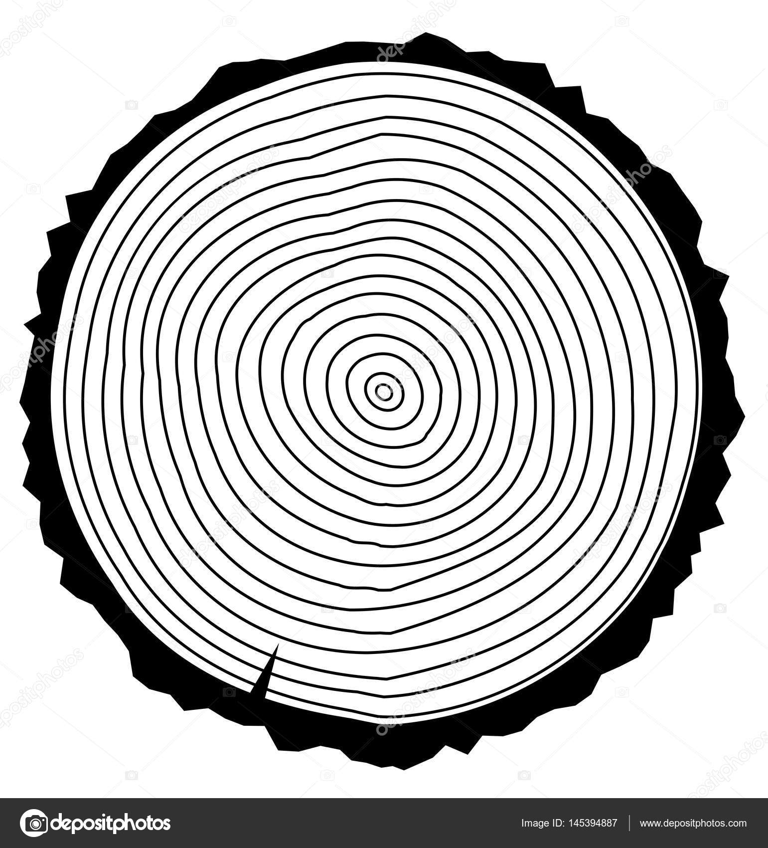 Vector wood rings — Stock Vector © lilacdesign 145394887