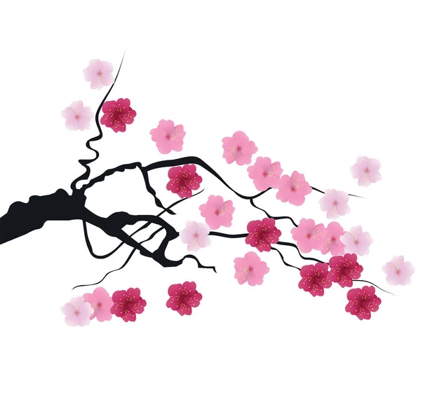 Vektor cherry blossom — Stock Vector