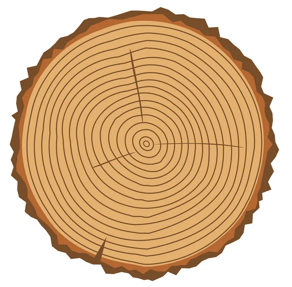 Vector wood rings — Stock Vector