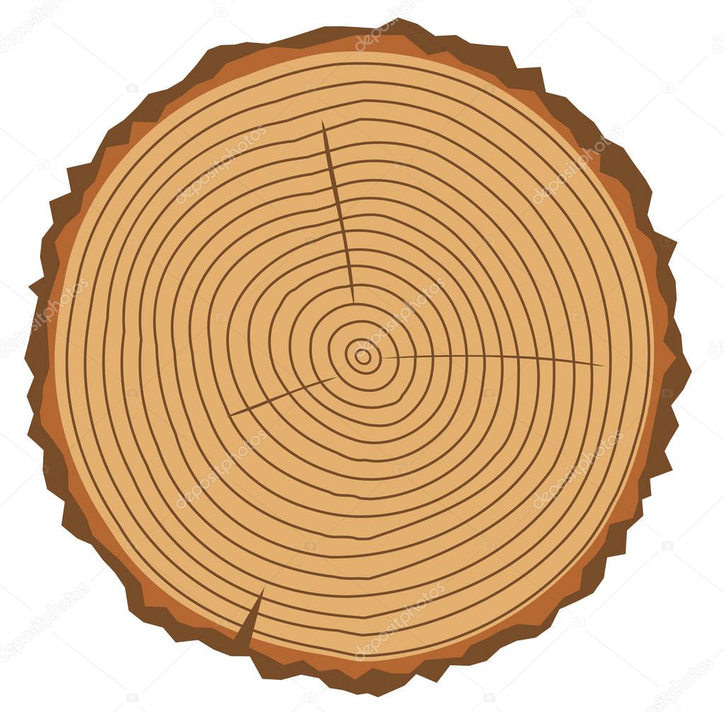 vector wood rings