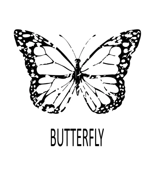 Vector Grunge Butterfly — Stock Vector