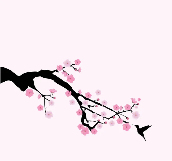 Vector cherry blossom — Stock Vector