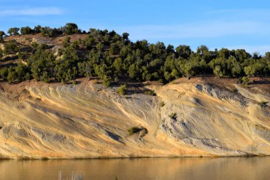 Göl kıyısı kum ve ağaçları ile fotoğrafı