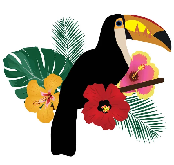 vector toucan bird