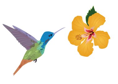 vektör çiçek arka plan